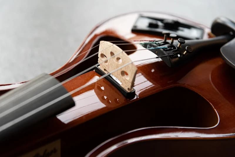 ویولن الکتریک هافنر Violin Hofner AS-160E-V4/4 — تصویر ۸