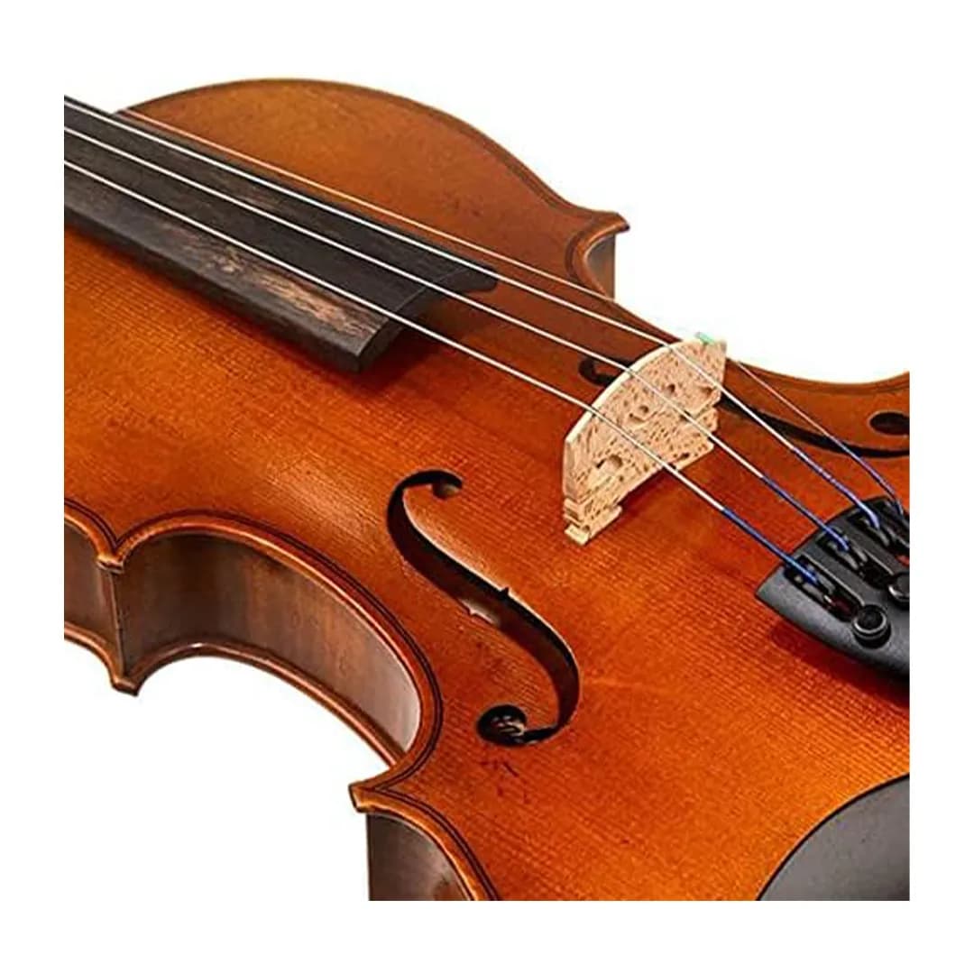 ویولن آکوستیک هافنر Violin Hofner AS-060-V1/2 — تصویر ۶