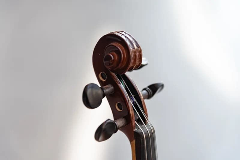 ویولن آکوستیک هافنر Violin Hofner AS-060-V1/2 — تصویر ۱۱