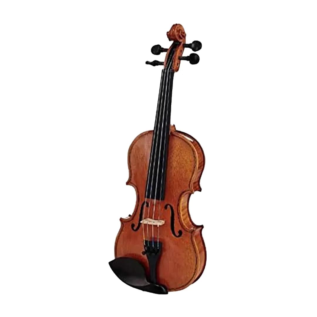 ویولن آکوستیک هافنر Violin Hofner AS-060-V1/2 — تصویر ۲