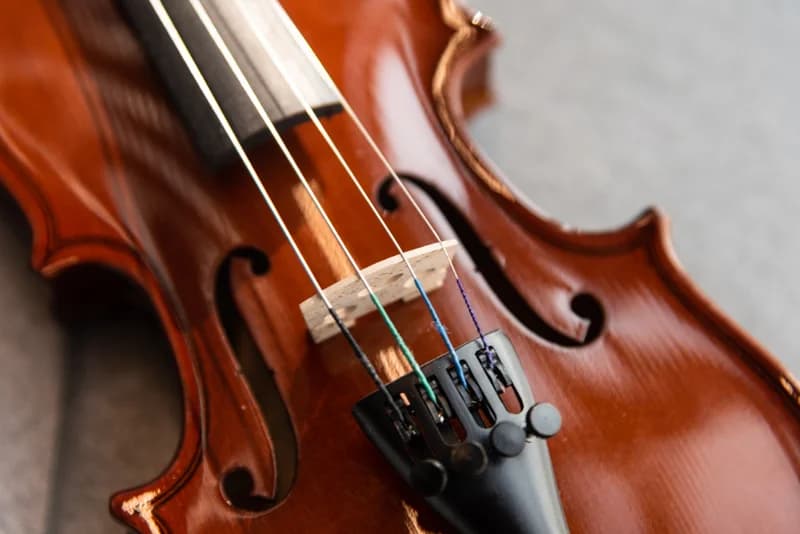 ویولن آکوستیک هافنر Violin Hofner AS-060-V1/2 — تصویر ۱۰