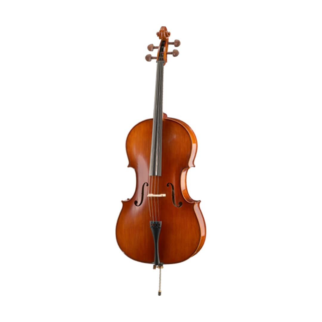 ویولنسل هافنر Violin cello Hofner AS-160-C4/4
