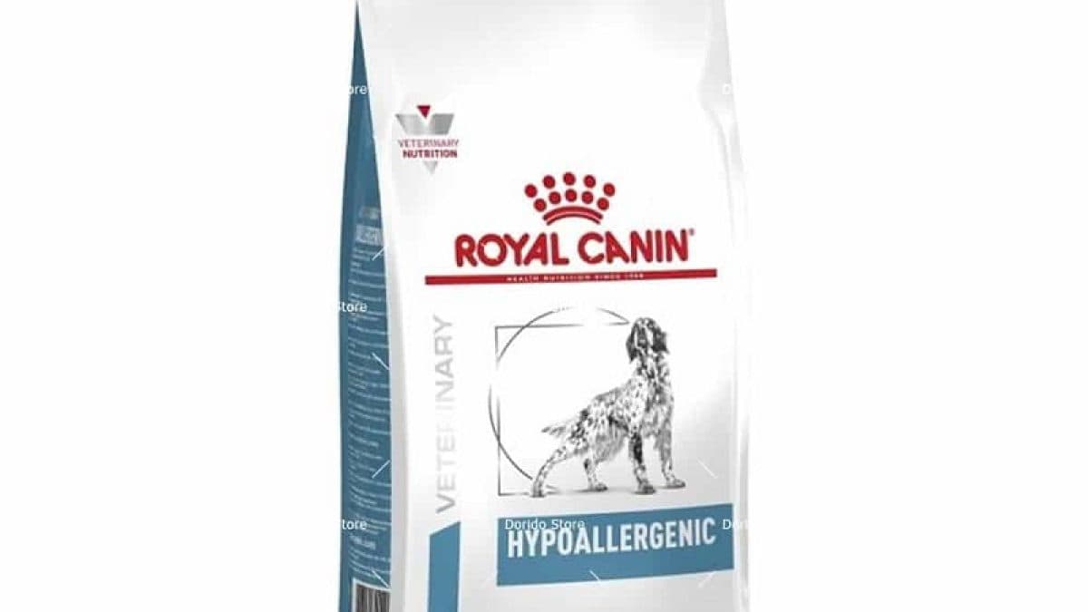 غذای خشک سگ هایپوآلرژنیک رویال کنین 2 کیلوگرمی مدل Royal Canin Hypoallergenic — تصویر ۴