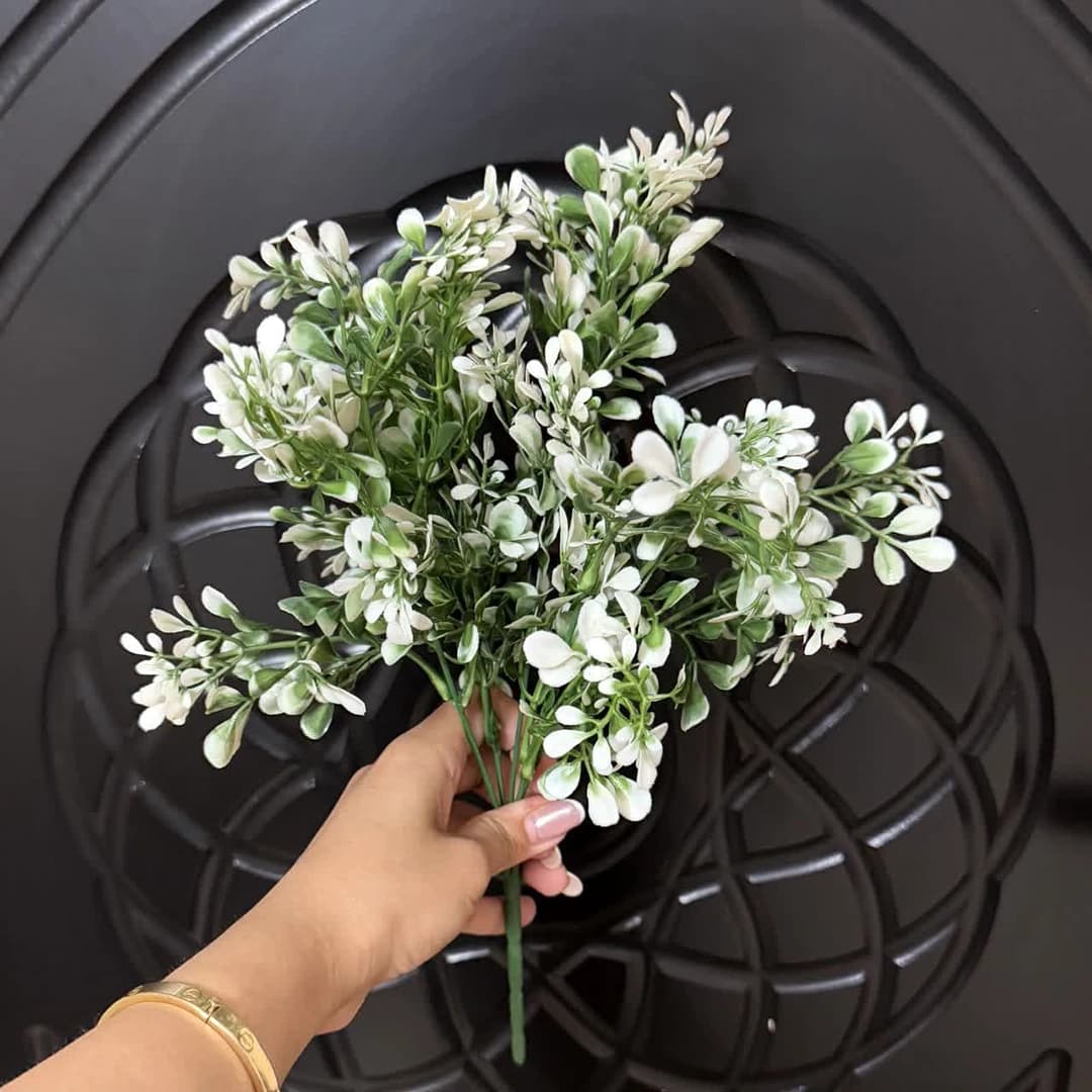 بوته ی لبه سفید — تصویر ۴