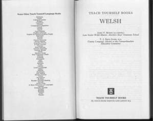 دانلود کتاب Welsh (Teach Yourself)