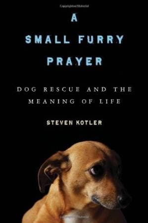 دانلود کتاب A Small Furry Prayer: Dog Rescue and the Meaning of Life