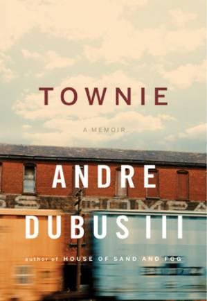 دانلود کتاب Townie: A Memoir — تصویر ۲