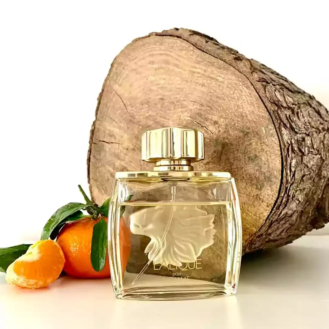 عطر ادکلن لالیک پور هوم (لالیک شیر) مردانه اصل — تصویر ۳