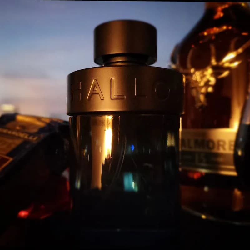 عطر ادکلن هالووین من ایکس مردانه اصل — تصویر ۴