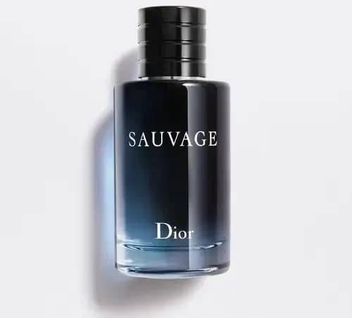 عطر ادکلن دیور ساواج ادوتویلت مردانه اصل — تصویر ۷