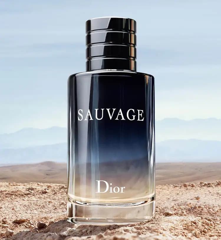 عطر ادکلن دیور ساواج ادوتویلت مردانه اصل — تصویر ۳