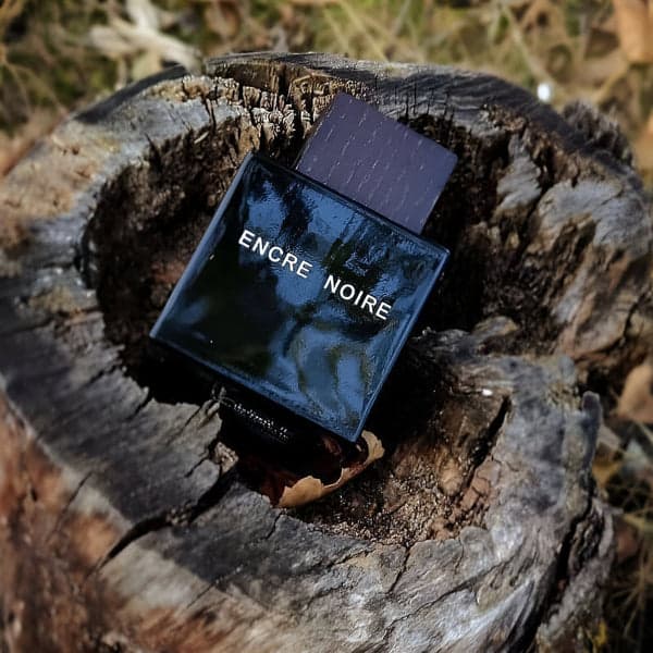 عطر ادکلن لالیک (مشکی) انکر نویر مردانه اصل — تصویر ۳