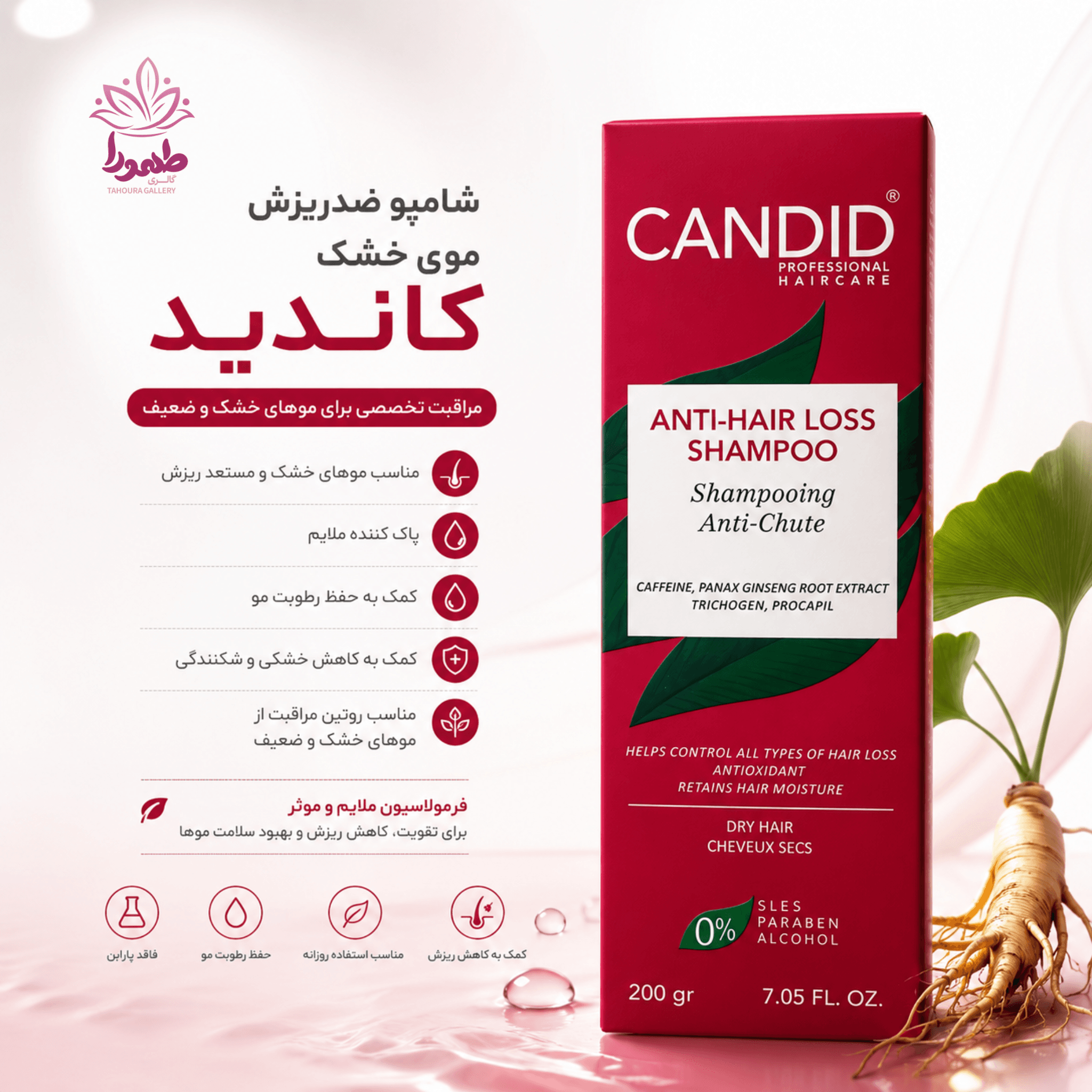شامپو ضدریزش موی خشک کاندید — تصویر ۳
