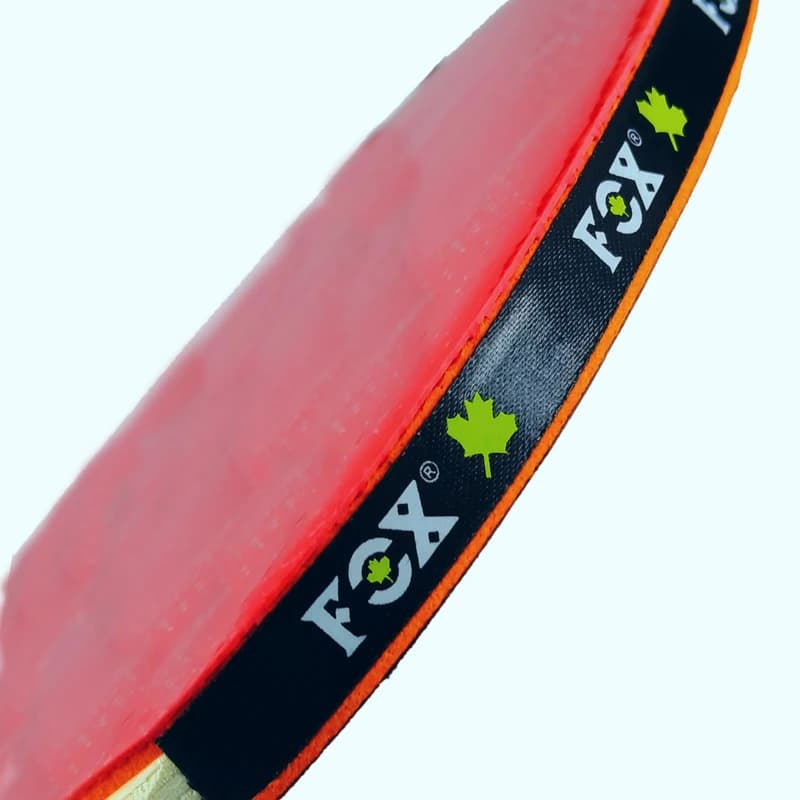 راکت پینگ پنگ فاکس ۱ ستاره (Fox 1-Star) – کد RKP41 — تصویر ۳