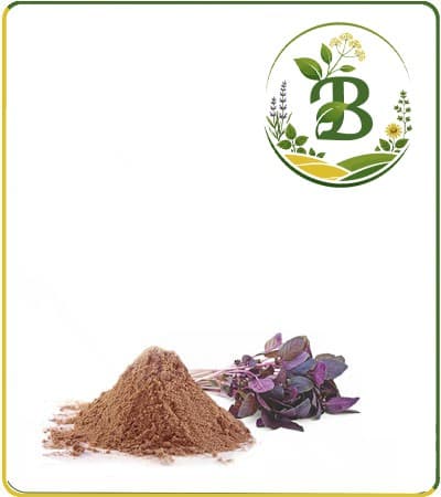 عصاره ریحان خشک یا پودری