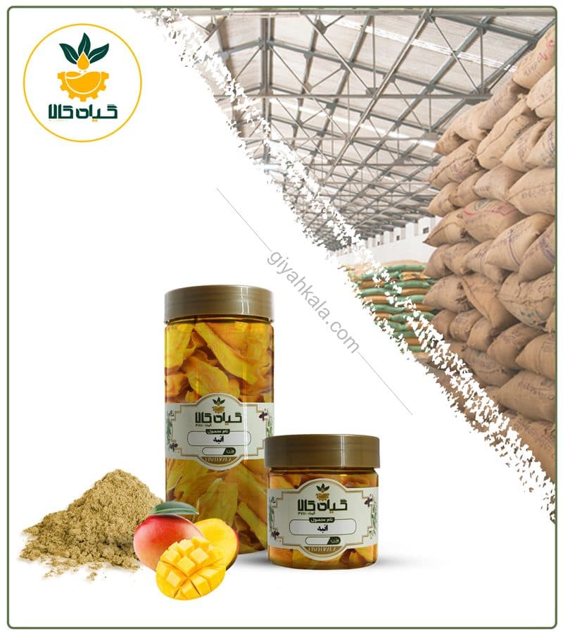 میوه انبه خشک یا پودری بسته بندی — تصویر ۲