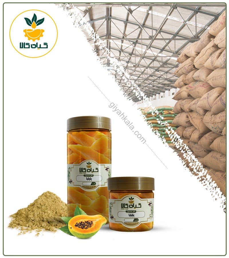 میوه پاپایا خشک یا پودری بسته بندی — تصویر ۲