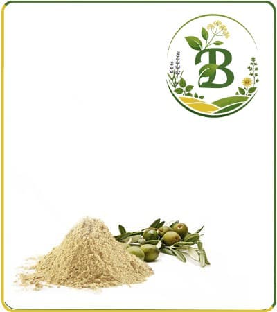 عصاره زیتون خشک یا پودری