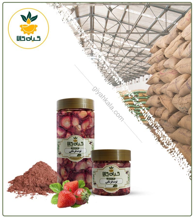 میوه توت فرنگی خشک یا پودری بسته بندی — تصویر ۲