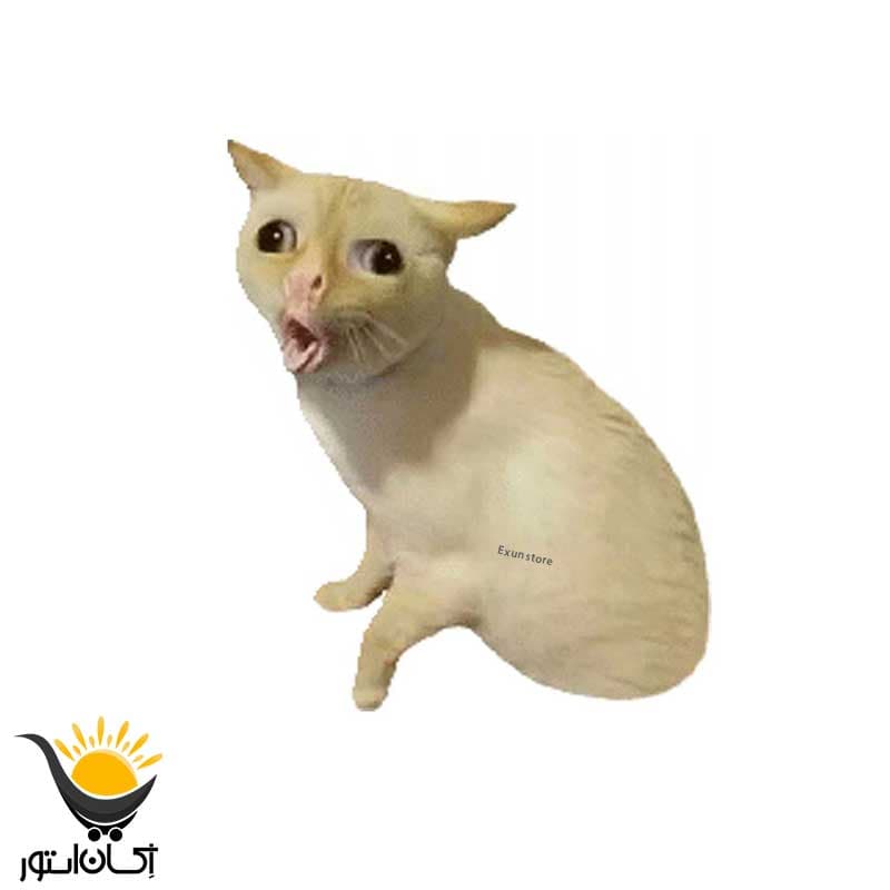 برچسب بدنه خودرو طرح گربه
