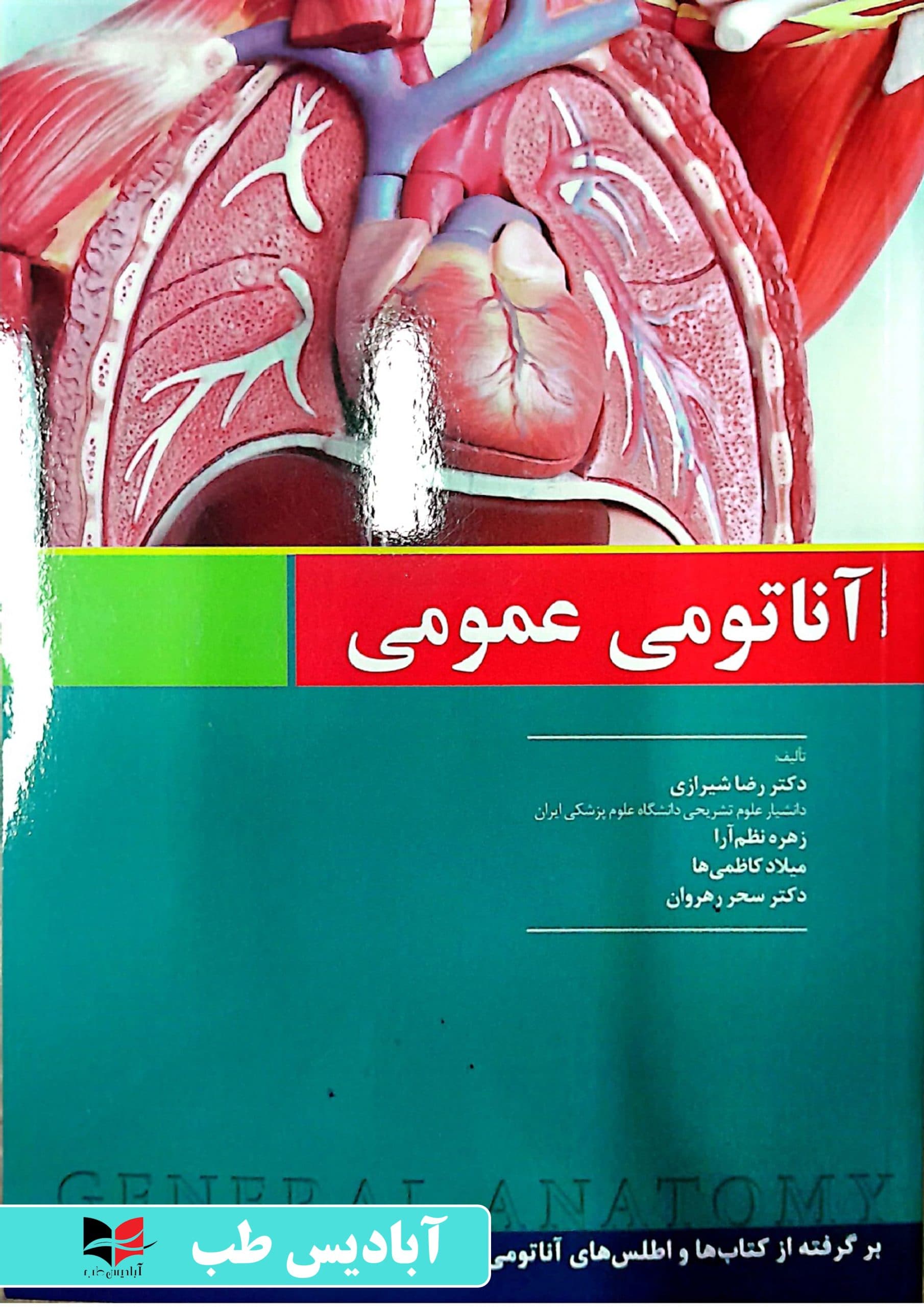 آناتومی عمومی | شیرازی