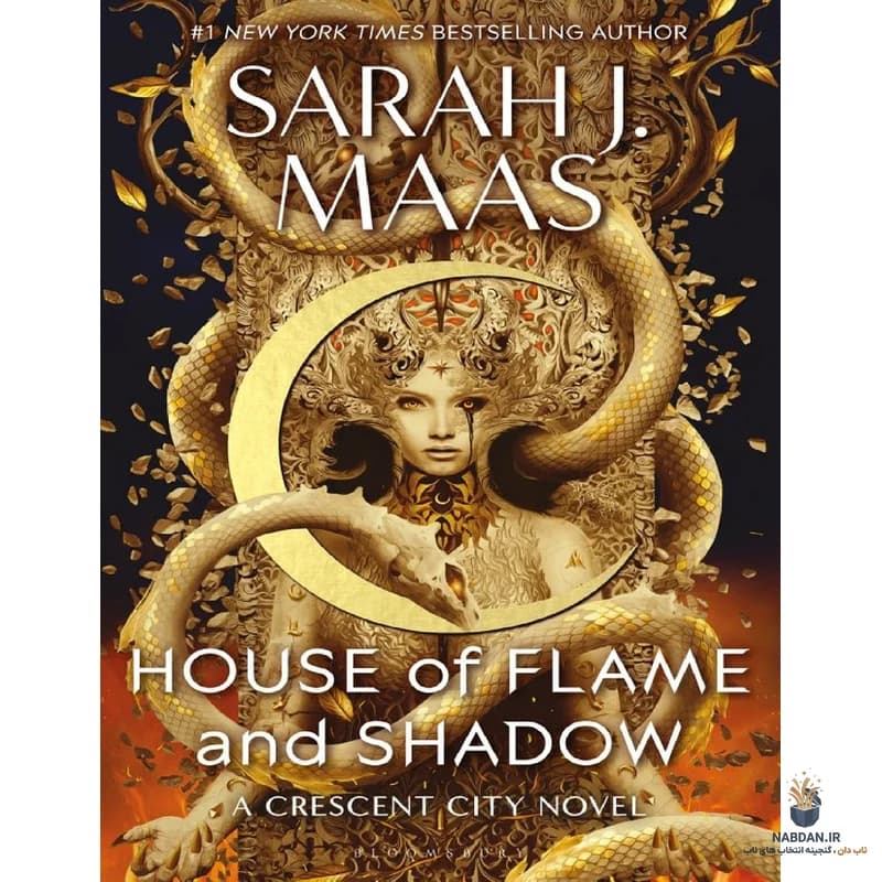 کتاب House of Glass (خانه شیشه ای) نسخه انگلیسی PDF | سارا پک‌نان