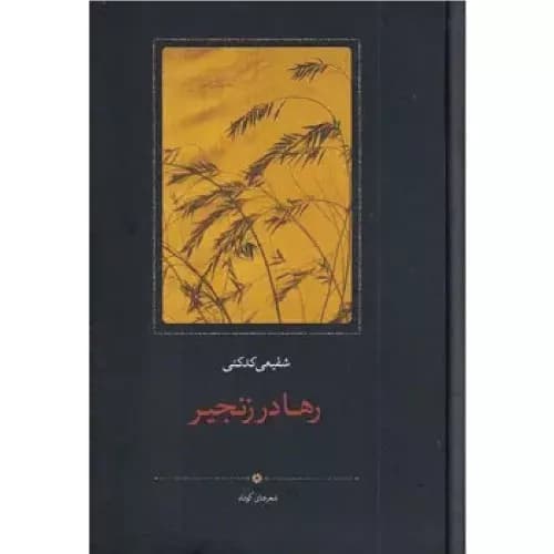 کتاب رها در زنجیر نشر سخن