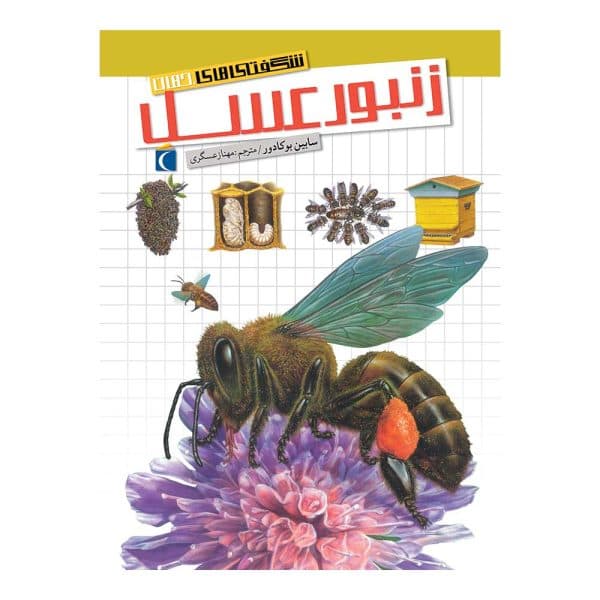 کتاب شگفتی‌های جهان – زنبور عسل