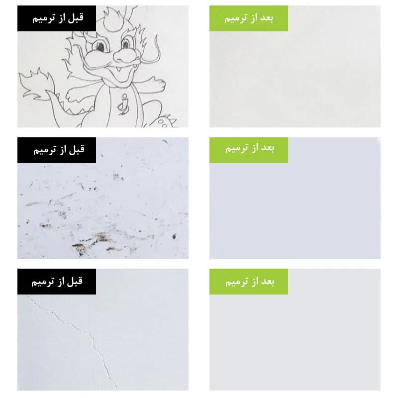 کرم دیوار غلطکی — تصویر ۳