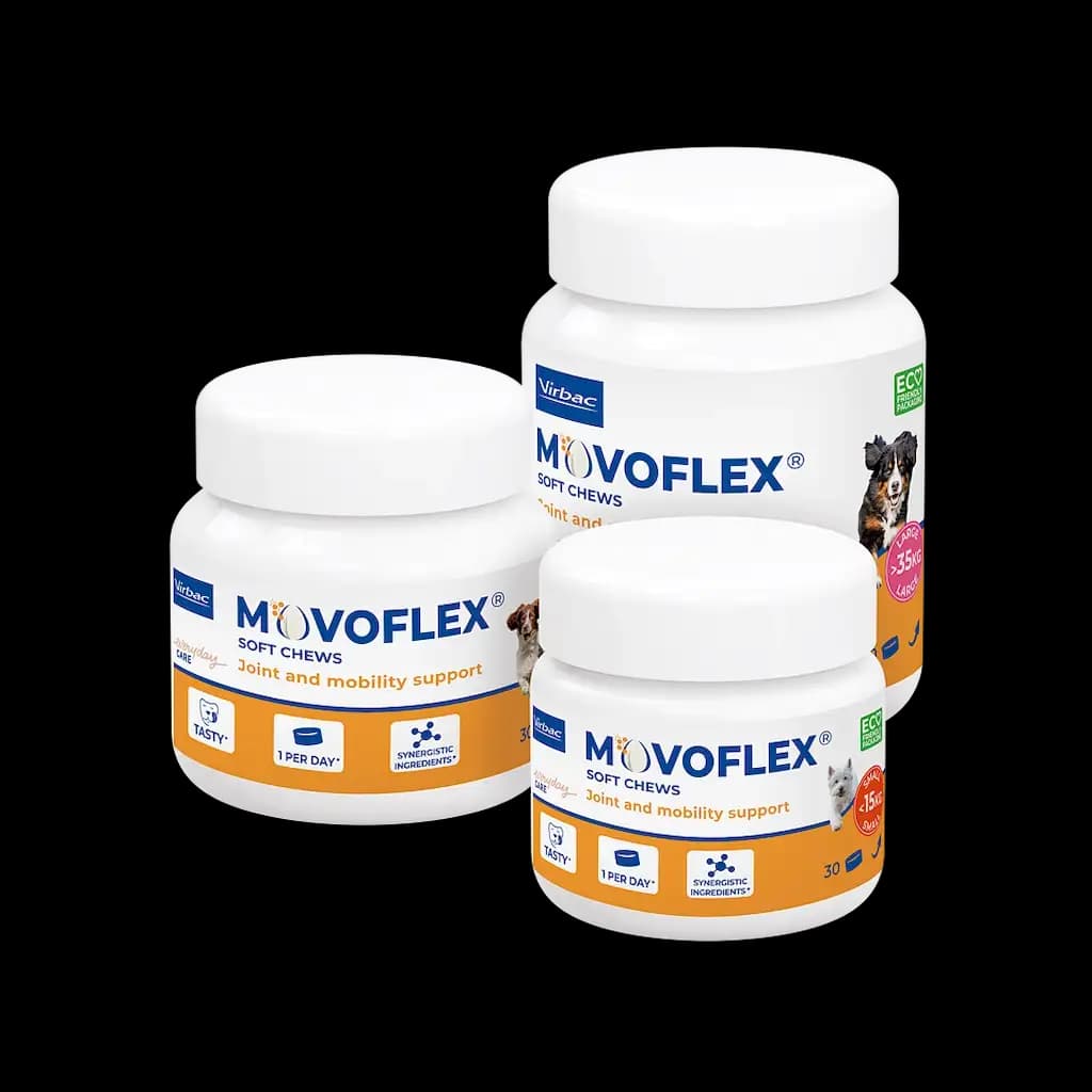 مکمل تقویت مفاصل و غضروف سگ MOVOFLEX برند Virbac | نژاد کوچک تا 15 کیلو | 30 عدد — تصویر ۵