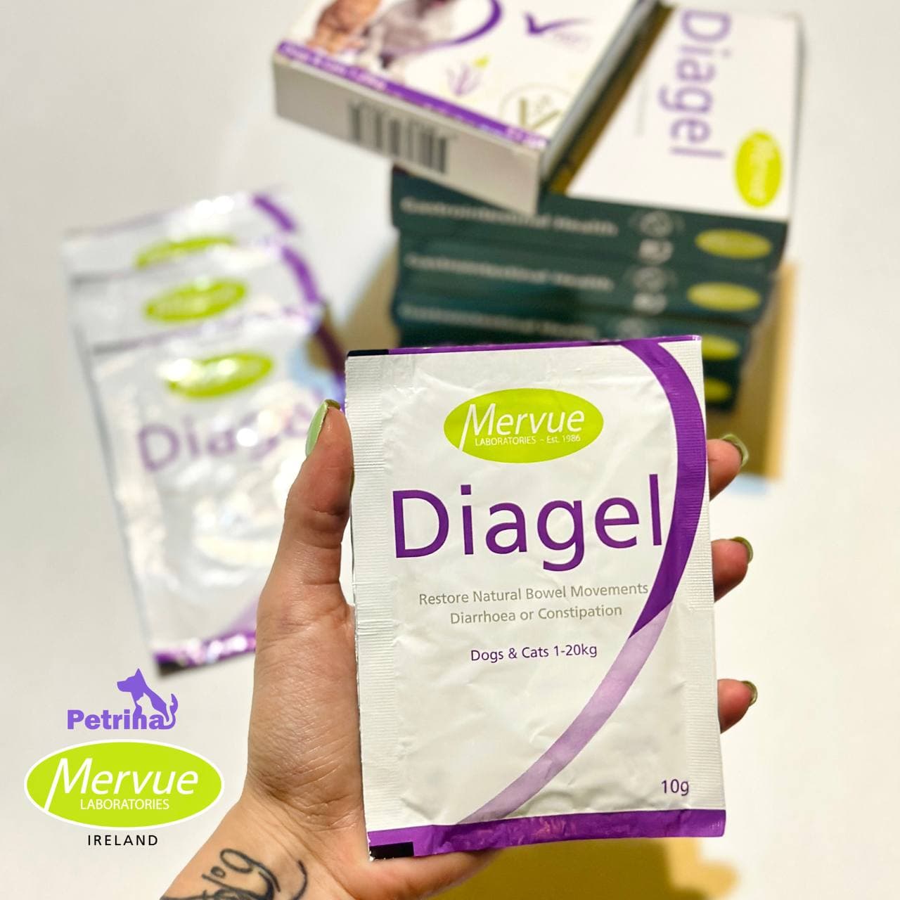 درمان اسهال و ناراحتی گوارشی سگ و گربه دیاژل (پودر خوراکی) ساشه 10 گرمی | Diagel for Dogs and Cats — تصویر ۲