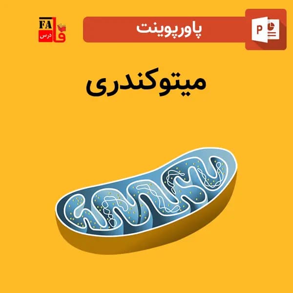 پاورپوینت میتوکندری — تصویر ۲