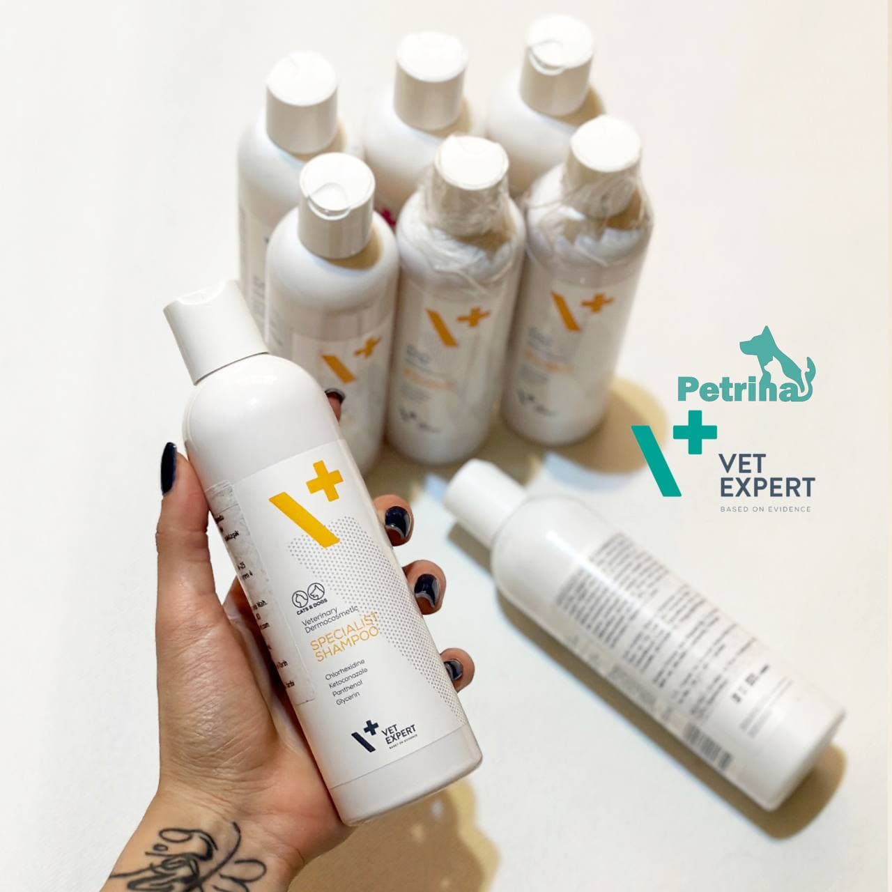 شامپو ضد قارچ سگ و گربه برند وت اکسپرت (درمان عفونت باکتریایی) | VetExpert V+ Specialist Shampoo — تصویر ۲