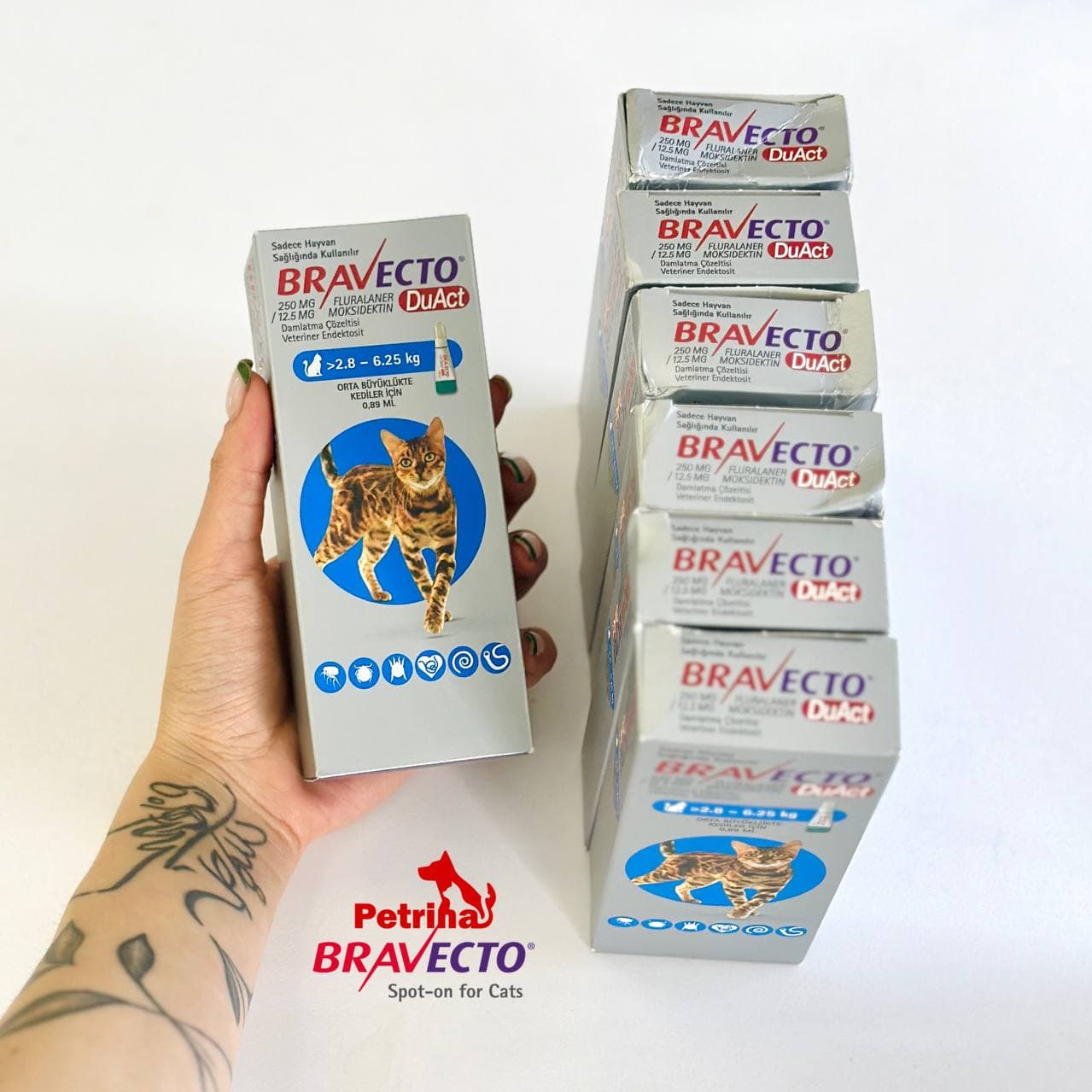 قطره ضد کک و کنه گربه براوکتو پلاس (2/5 تا 6/25 کیلو) | BRAVECTO Plus — تصویر ۲