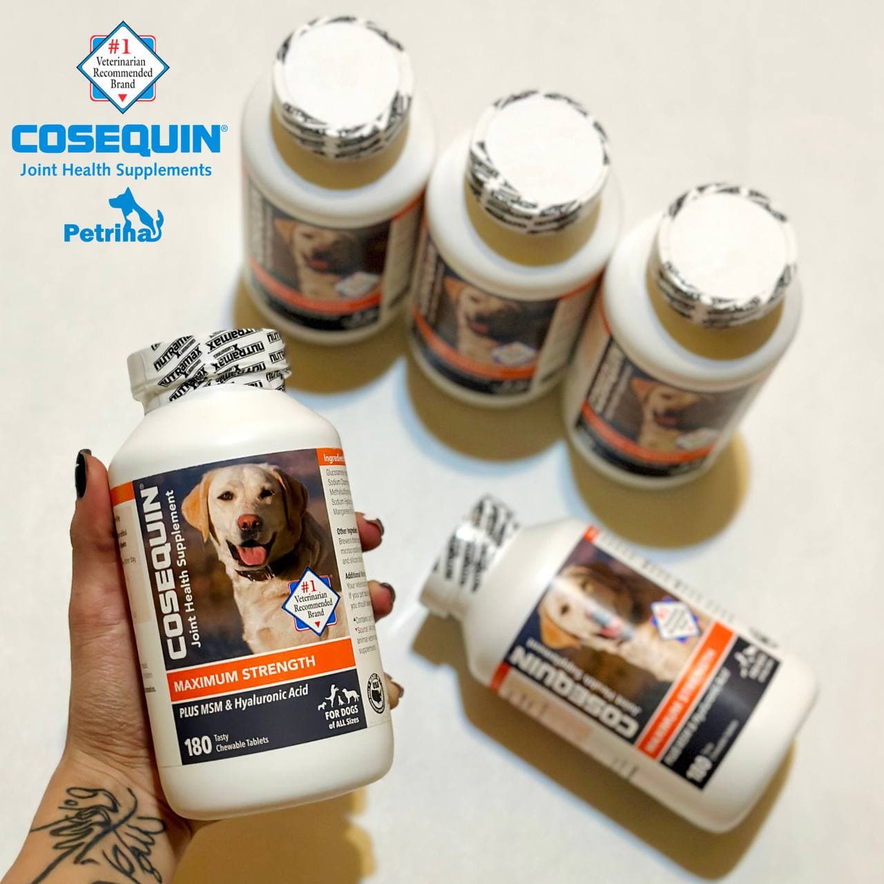 مکمل سگ کوزکویین COSEQUIN Joint Health Supplement | تقویت مفاصل و غضروف | 180 عدد
