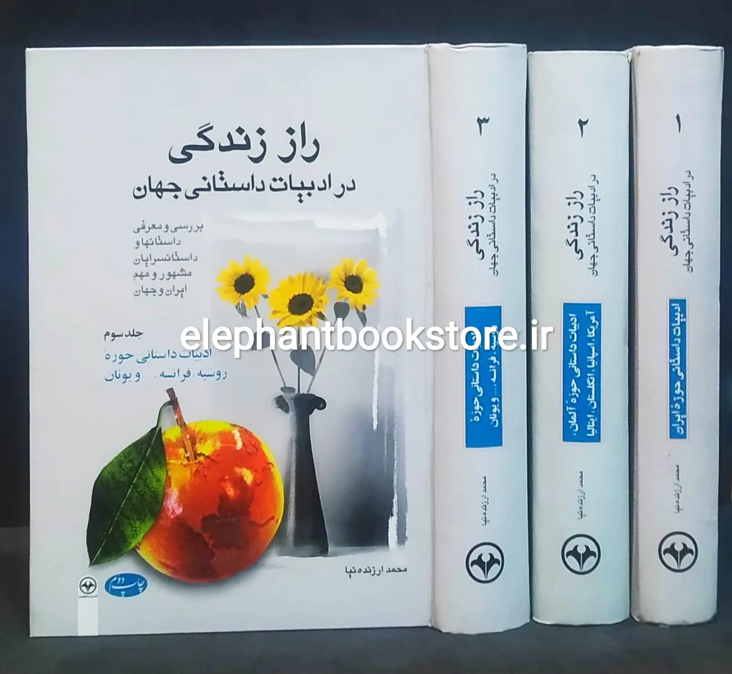 کتاب راز زندگی در ادبیات داستانی جهان اثر محمد ارزنده نیا (سه جلدی)