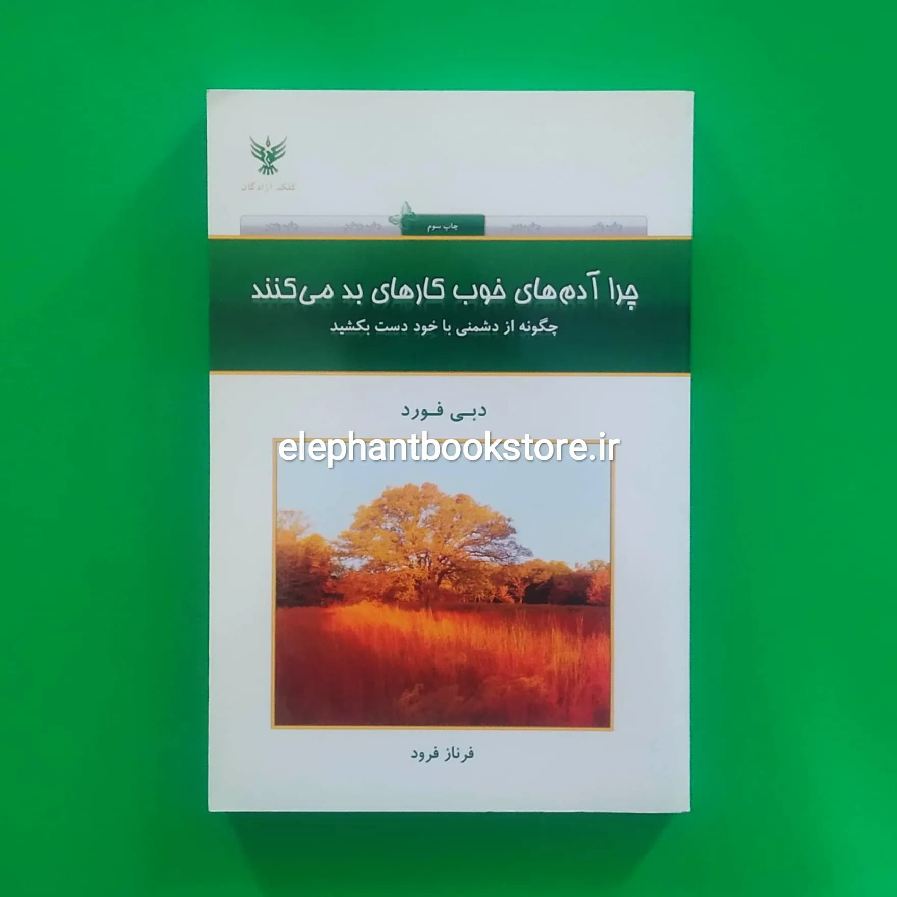 کتاب چرا آدم های خوب کارهای بد می کنند؟ اثر دبی فورد