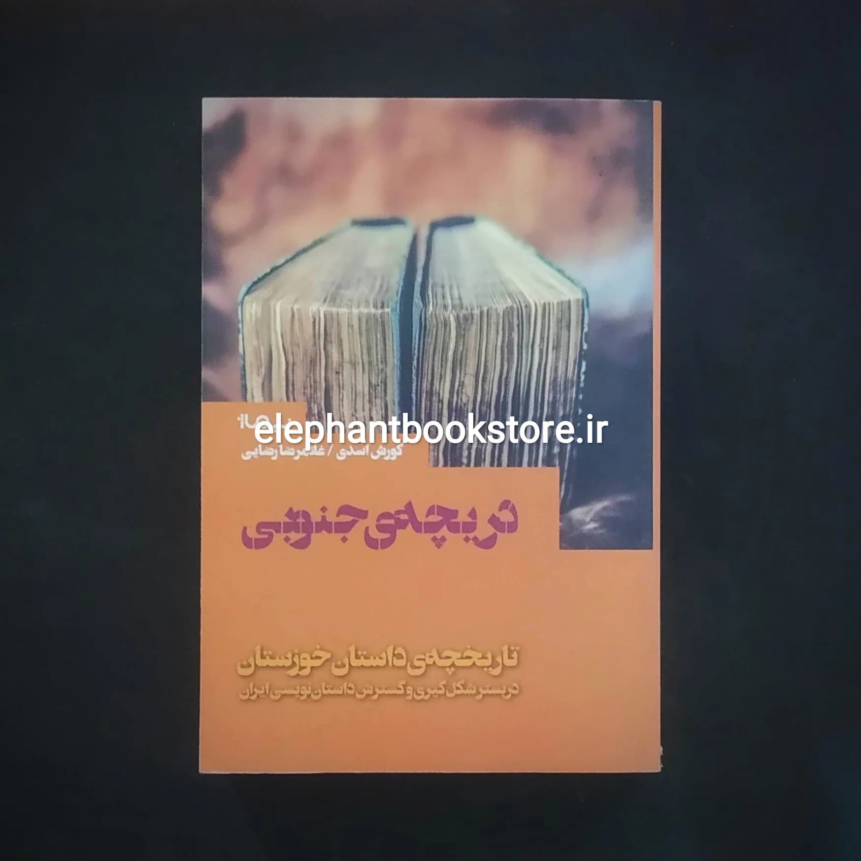 کتاب دریچه ی جنوبی اثر کورش اسدی و غلامرضا رضایی
