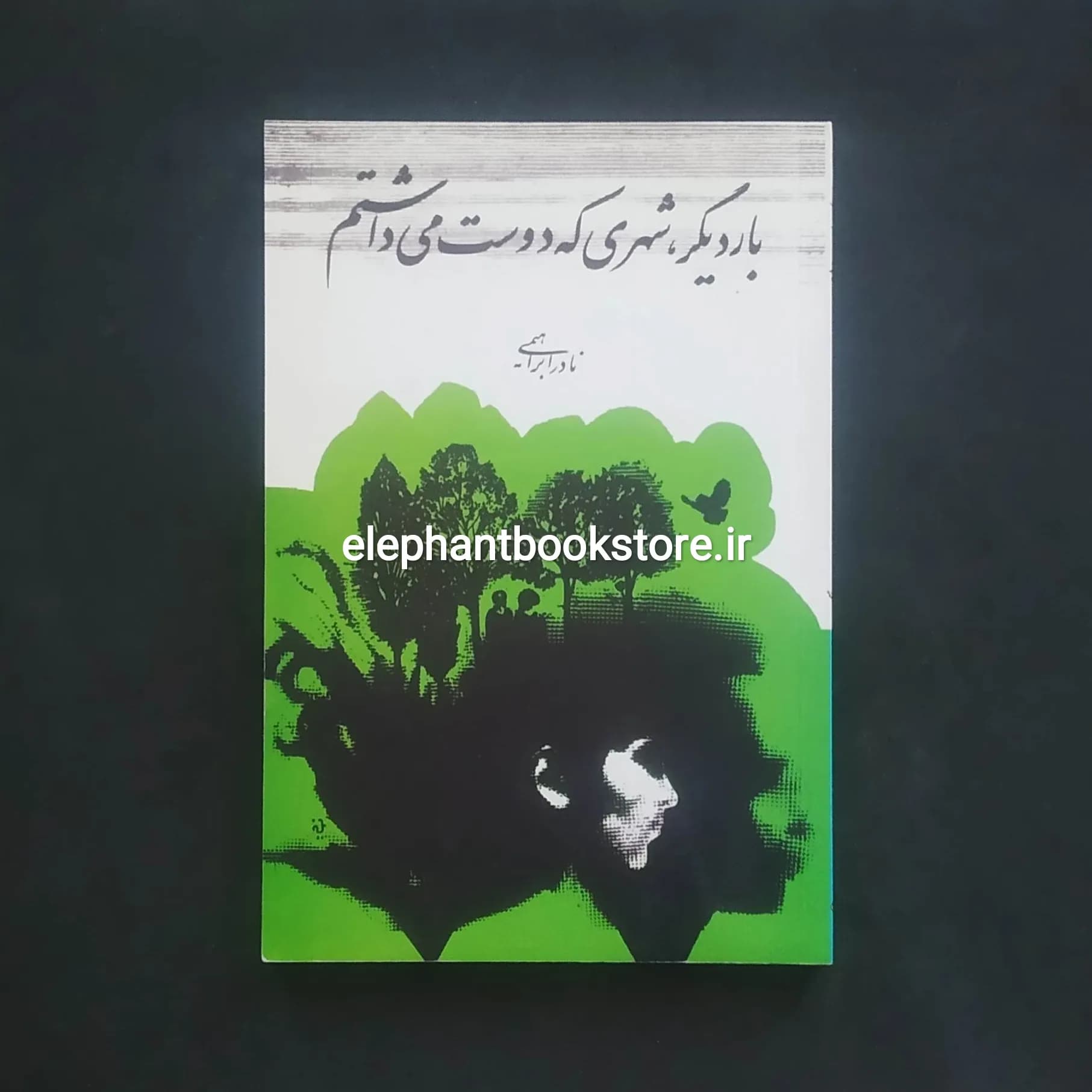 کتاب بار دیگر شهری که دوست می داشتم