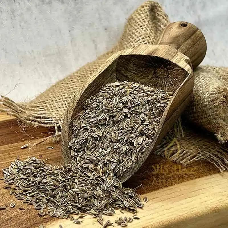 بذر شوید ایرانی
