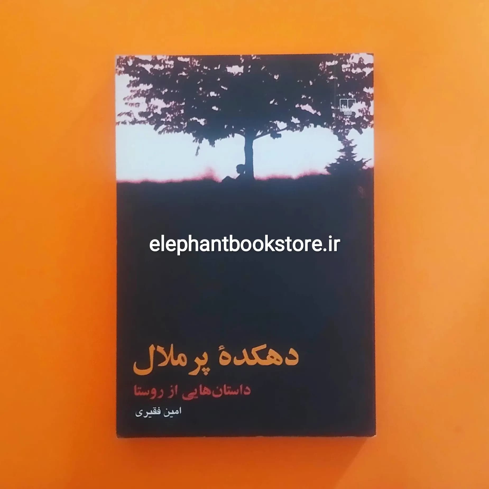 کتاب دهکده پر ملال اثر امین فقیری