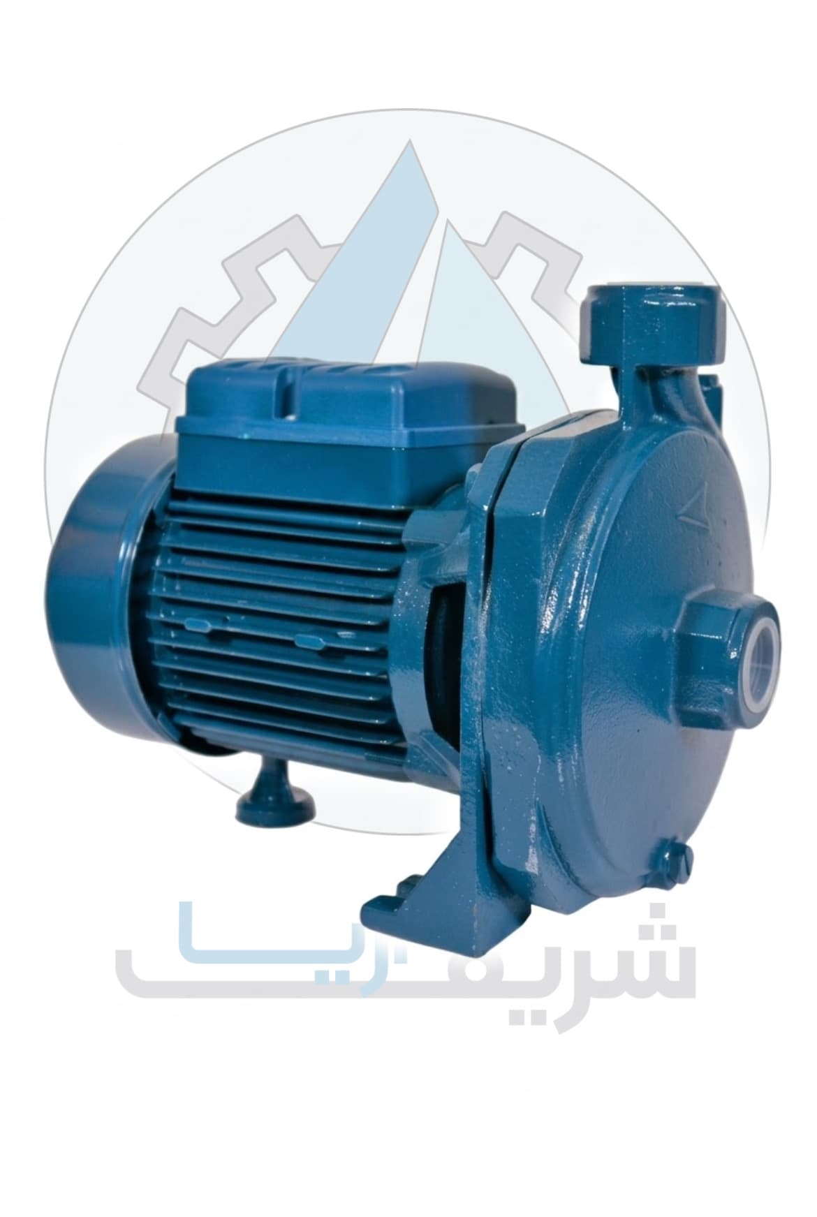 پمپ 1 اسب بشقابی CNB مدل CPM100