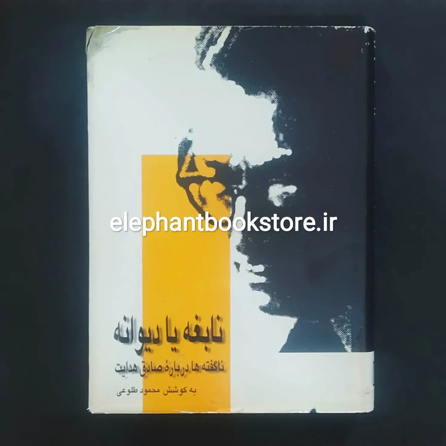 کتاب نابغه یا دیوانه؟ ناگفته ها درباره صادق هدایت اثر محمود طلوعی