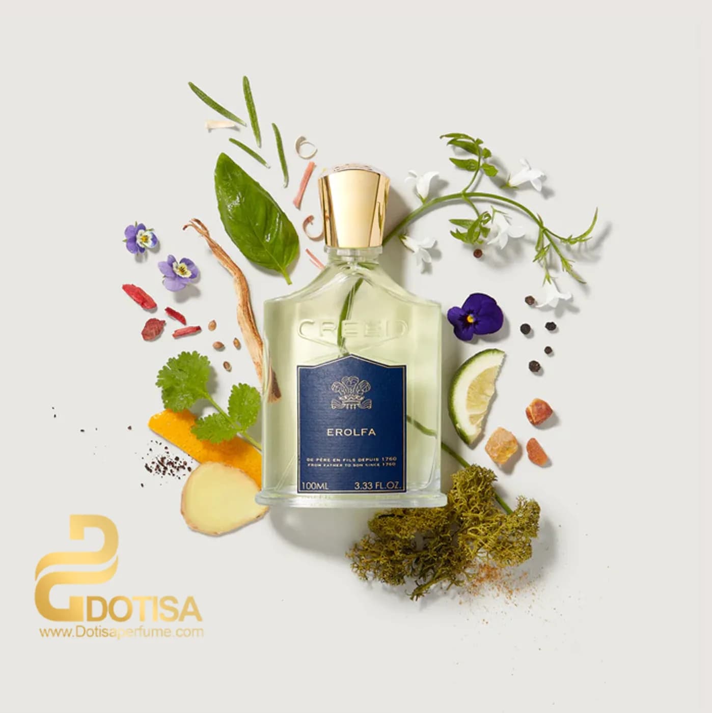 Creed Erolfa For Men EDP — تصویر ۴