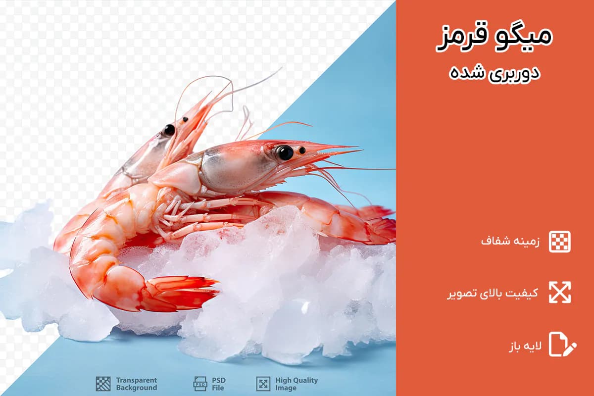 PNG میگو قرمز دوربری شده