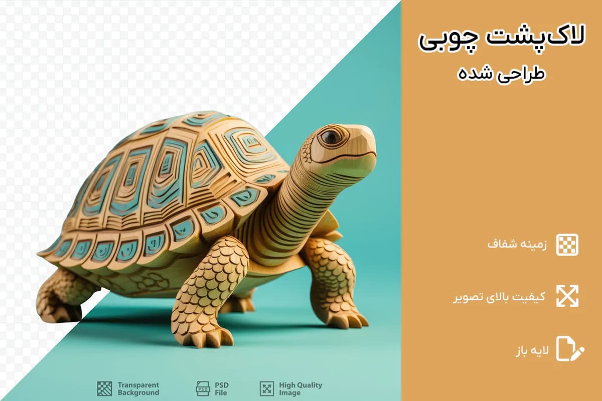 PNG لاک پشت چوبی — تصویر ۲