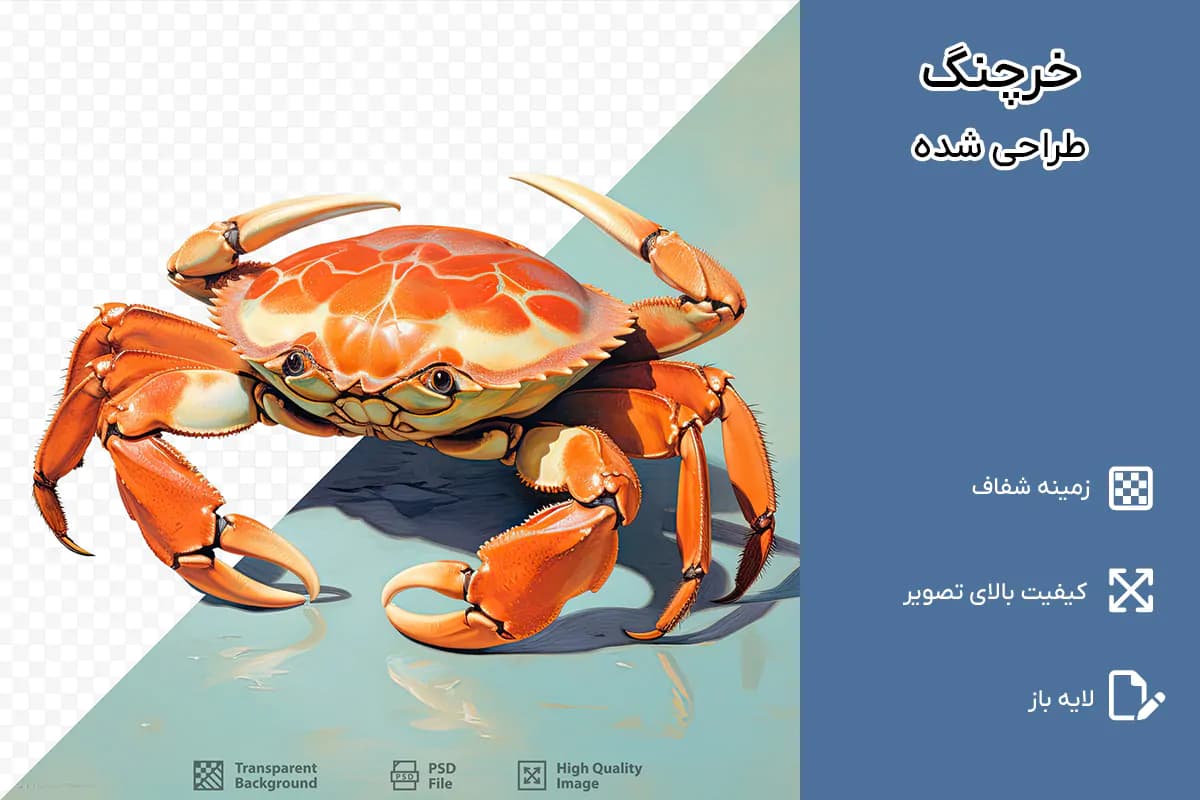 PNG خرچنگ دوربری شده