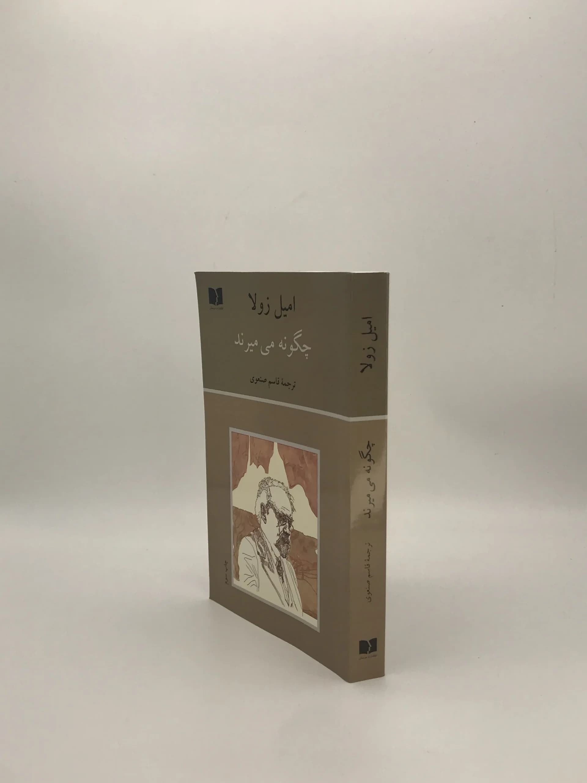 چگونه می میرند نوشته امیل زولا — تصویر ۴