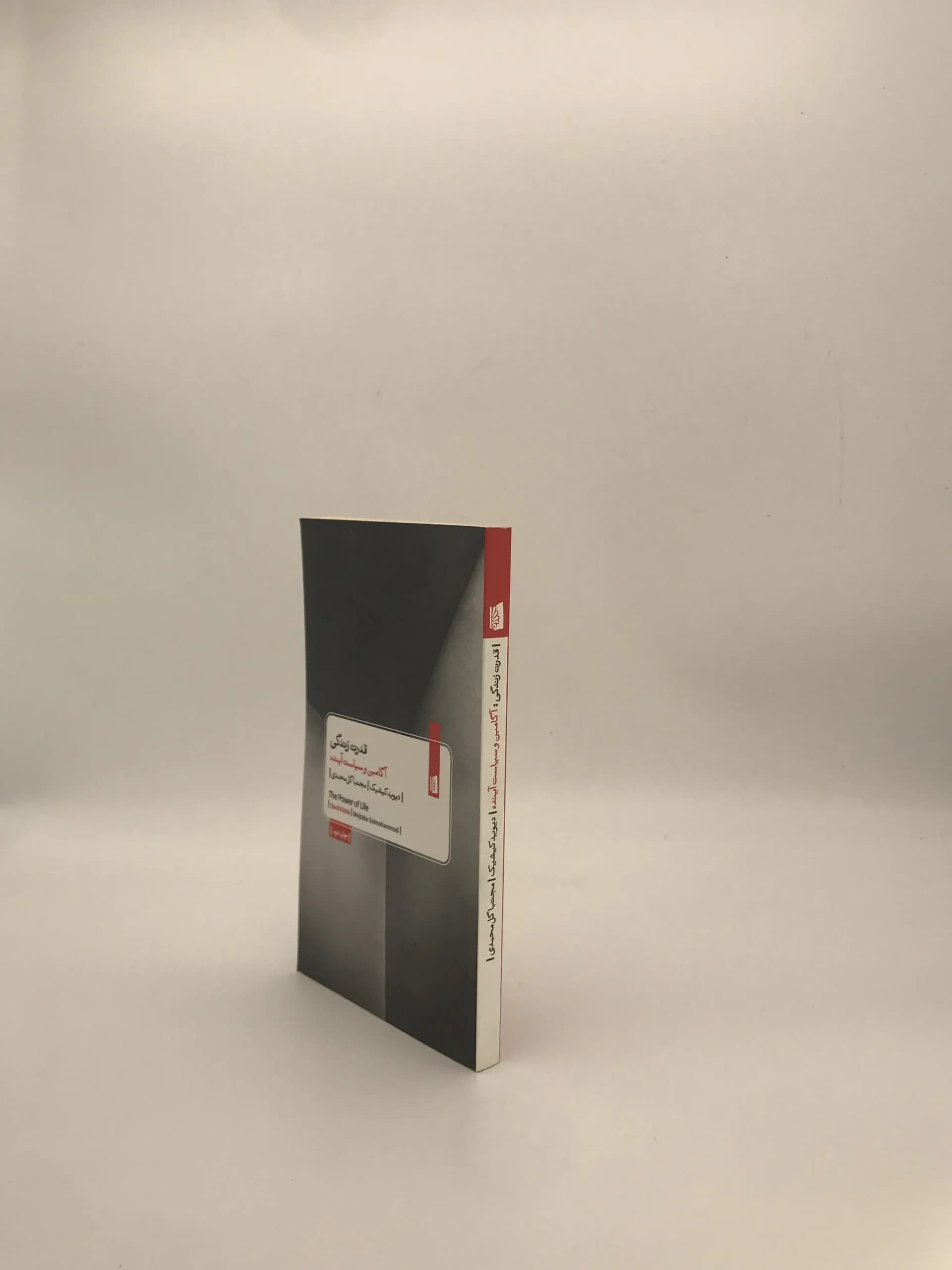 قدرت زندگی نوشته دیوید کیشیک — تصویر ۴