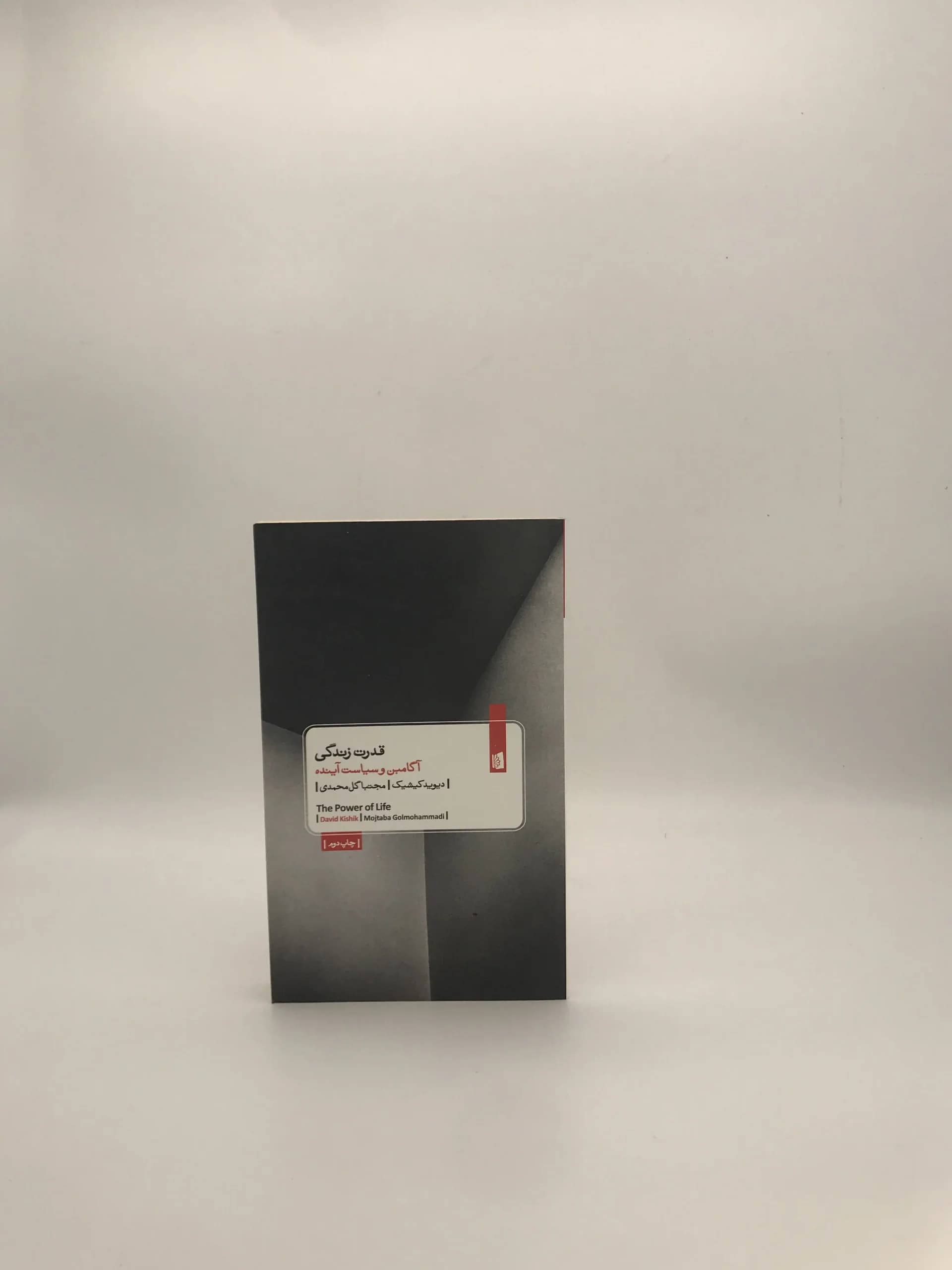 قدرت زندگی نوشته دیوید کیشیک — تصویر ۲